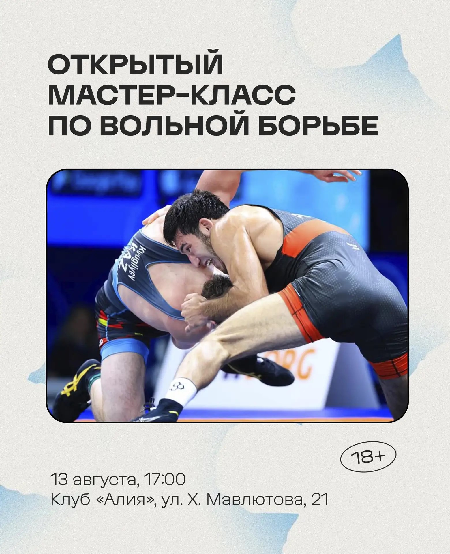 Открытый мастер-класс по вольной борьбе, +18 
