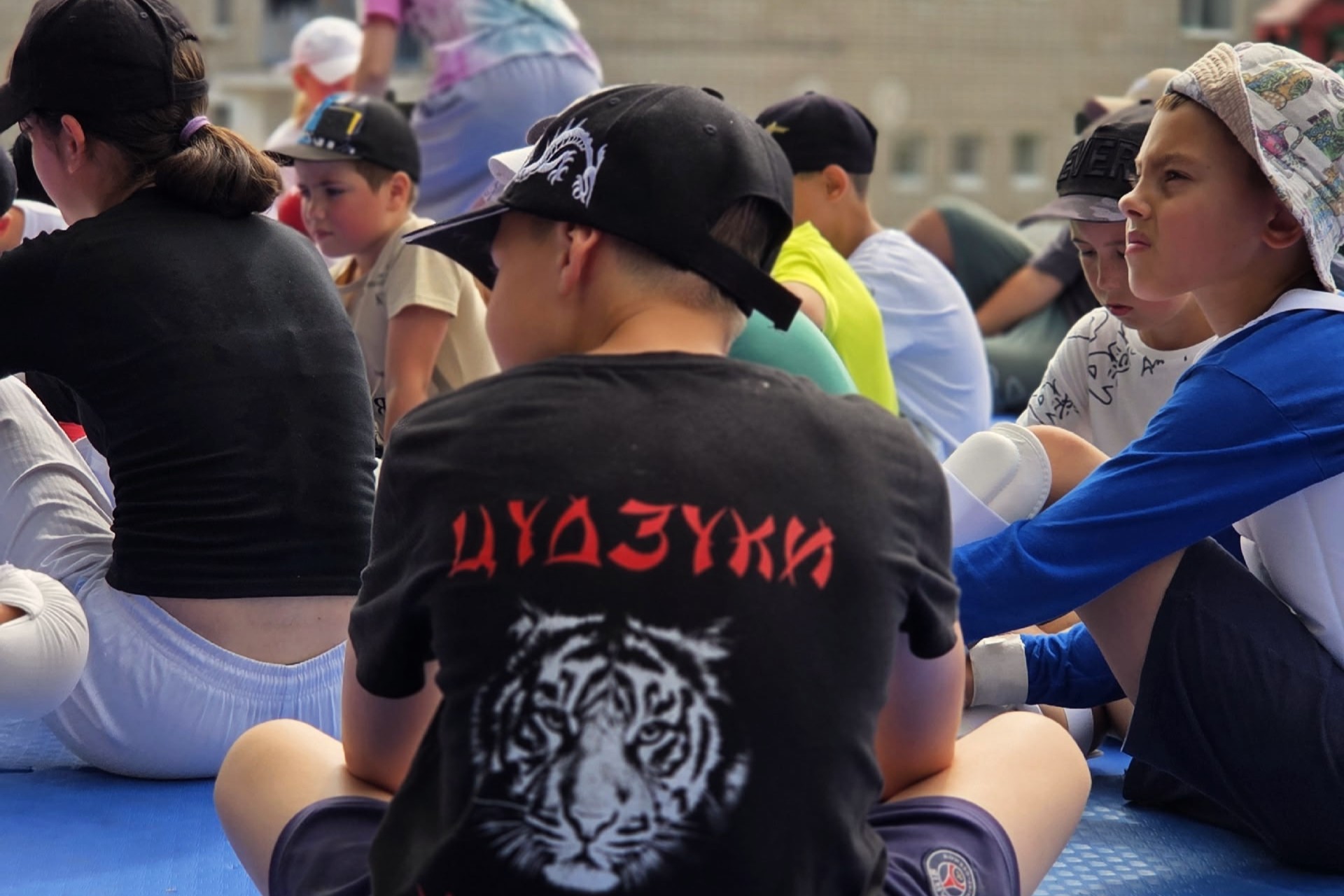 Фото клуба Молодёжный (подростковый) клуб "Цудзуки" №2