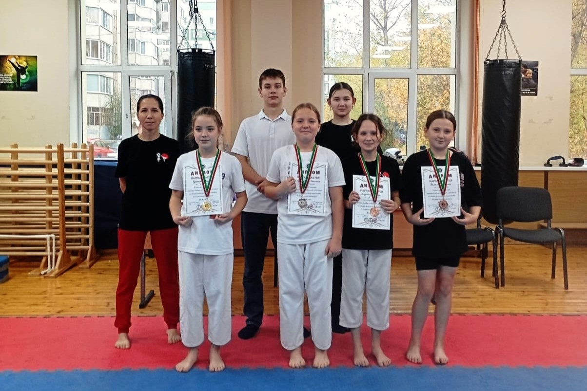 Фото клуба Молодёжный (подростковый) клуб "Цудзуки" №5